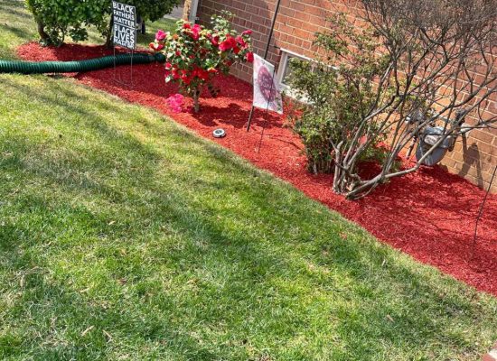 Green Meadow Landscaping llc, Maryland, General Landscaping,Gardening,Mulching,Tree Service,Snow Removal (10)