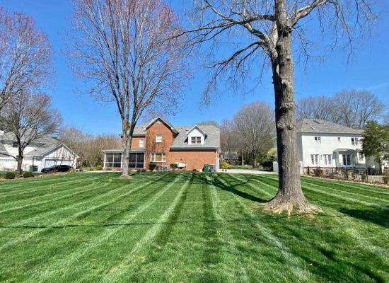 Green Meadow Landscaping llc, Maryland, General Landscaping,Gardening,Mulching,Tree Service,Snow Removal (11)