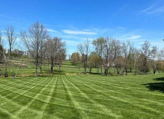 Green Meadow Landscaping llc, Maryland, General Landscaping,Gardening,Mulching,Tree Service,Snow Removal (64)