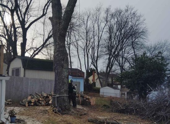 Green Meadow Landscaping llc, Maryland, General Landscaping,Gardening,Mulching,Tree Service,Snow Removal (7)
